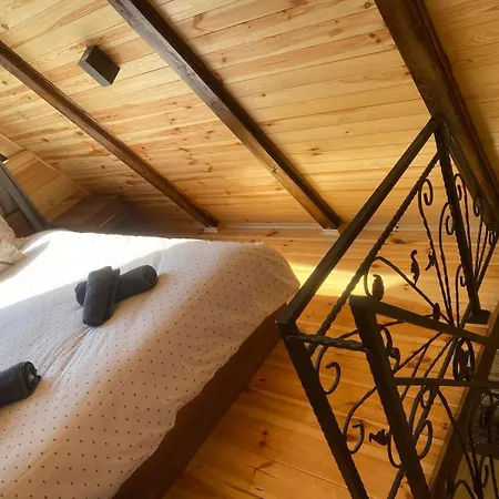 Deniri 别墅 兹拉蒂博尔