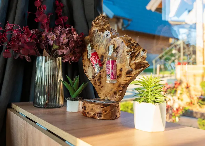 Deniri Villa Zlatibor